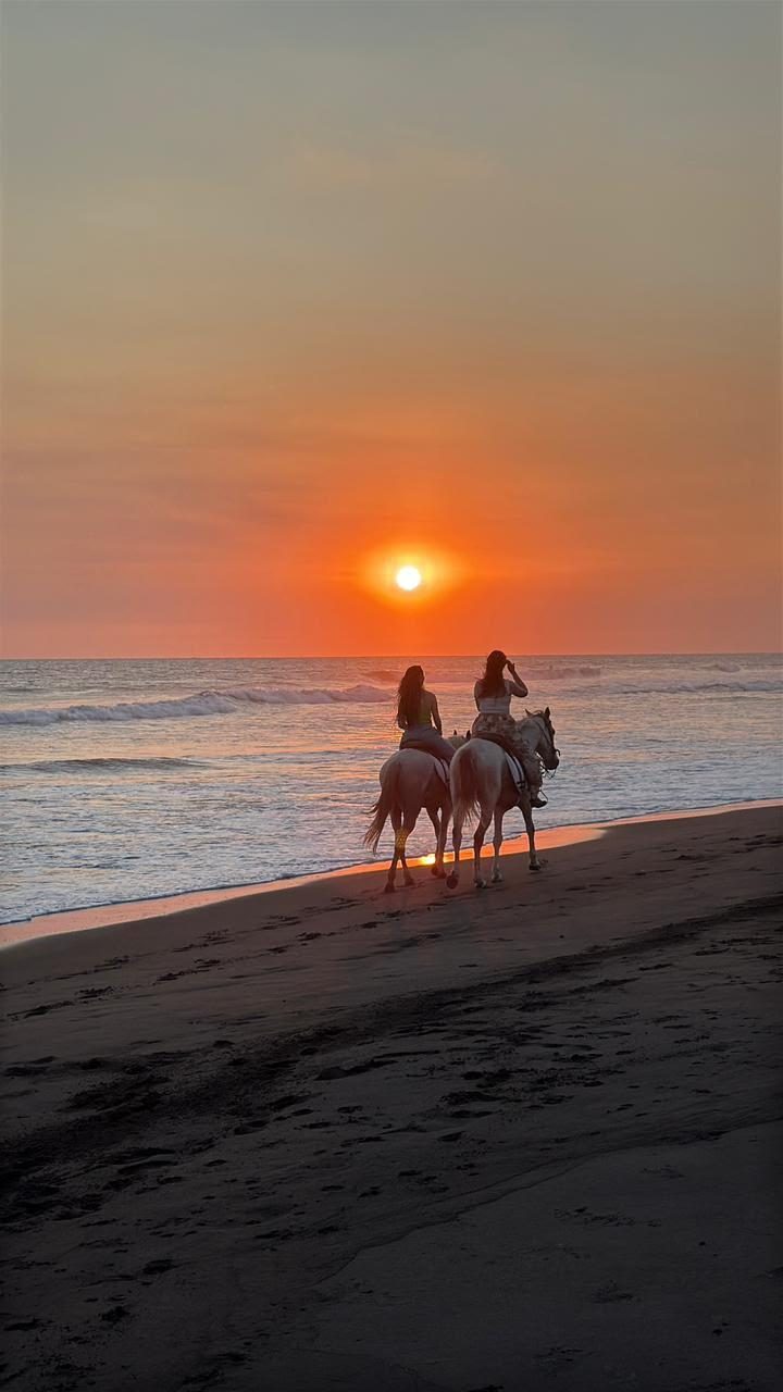 Horseback Riding Tour