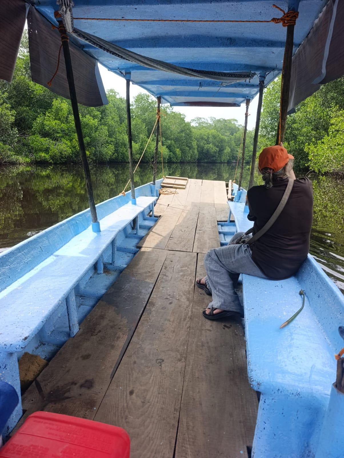 Mangrove Boat Tour in El Paredon
