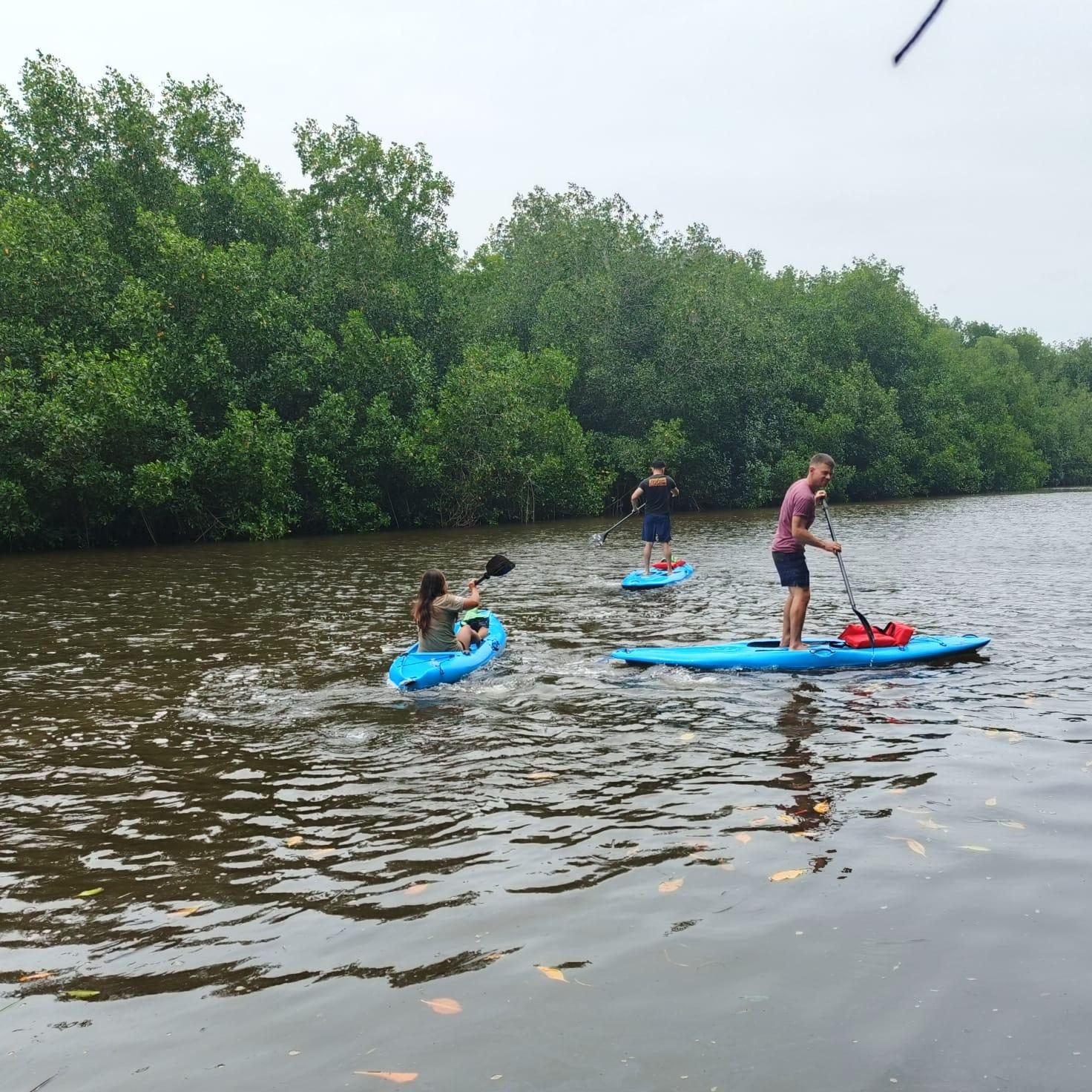 Kayak Tour or SUP tour